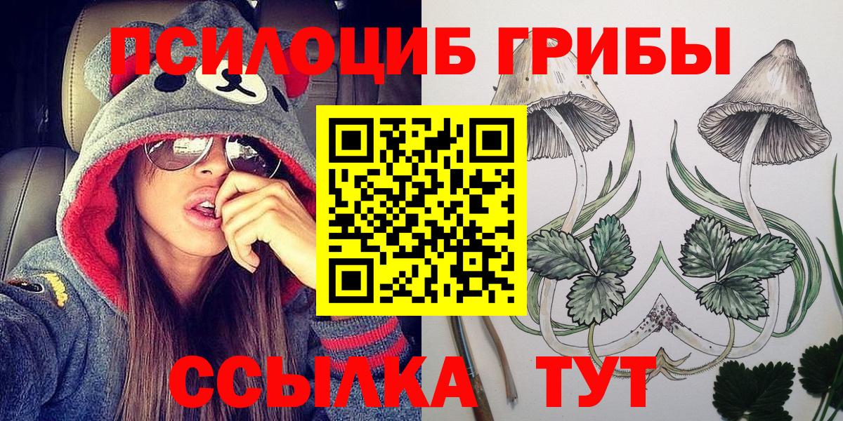 Псилоцибиновые грибы MAGIC MUSHROOMS  Вход с VPN  Балашиха 