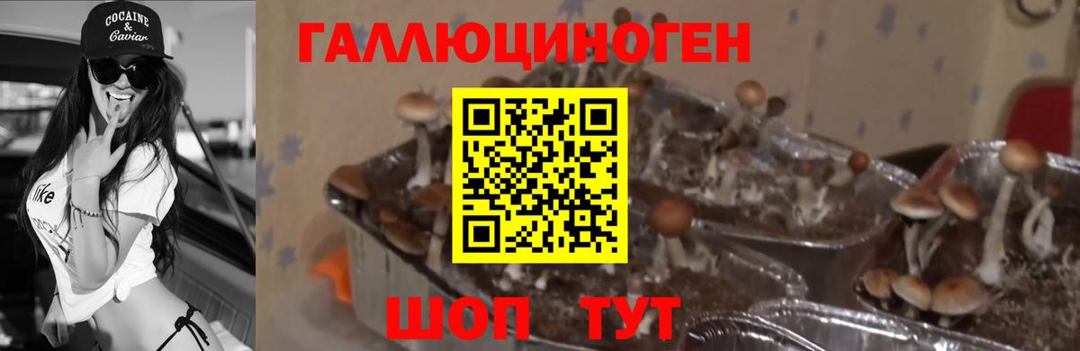 Галлюциногенные грибы мухоморы Балашиха